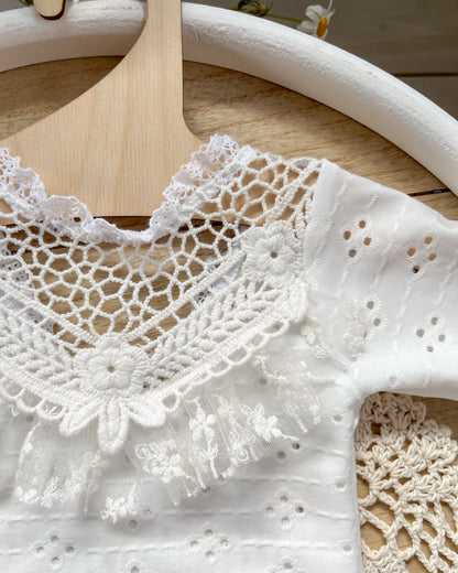 Krajkové body Diana z kolekce Stripe