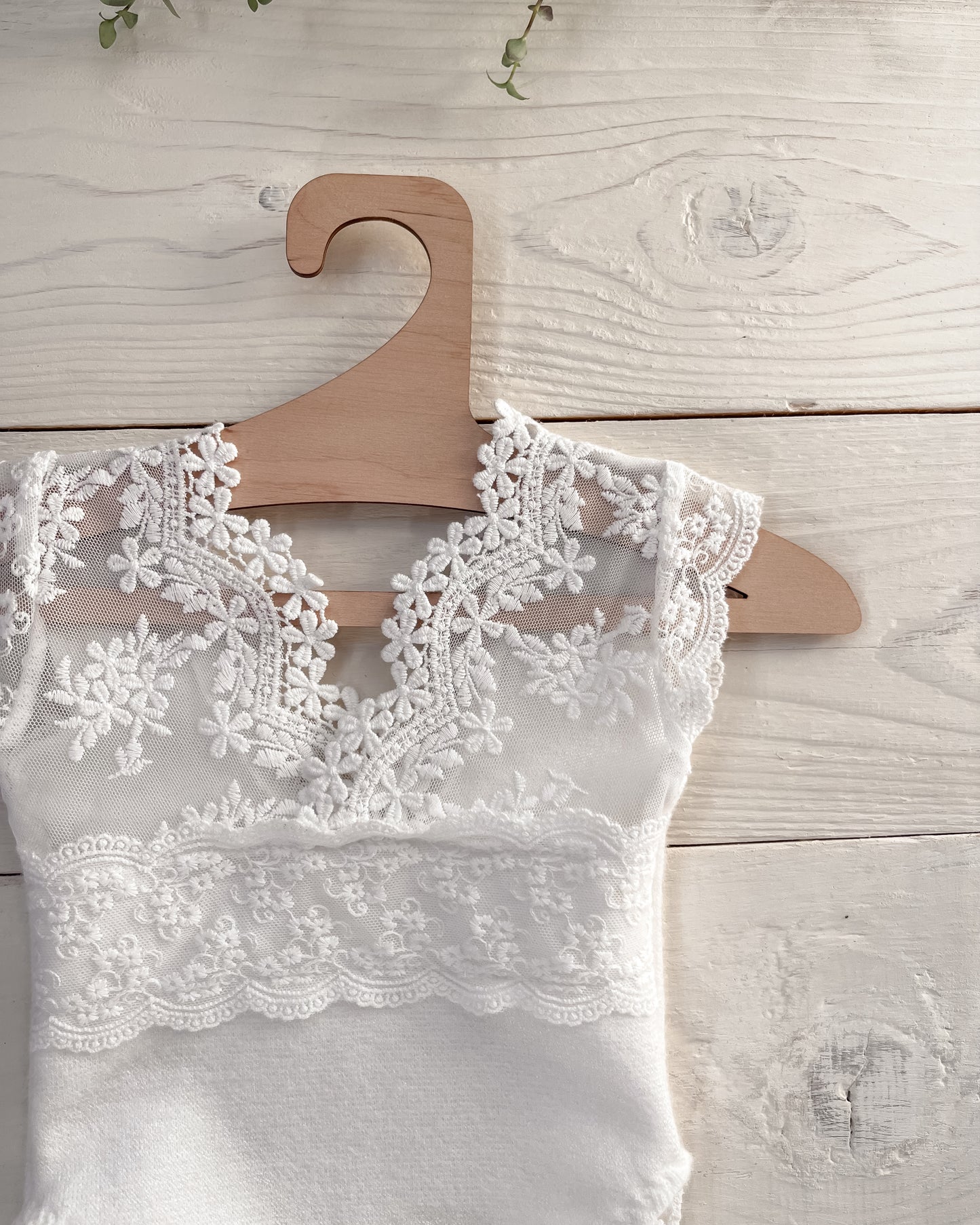 Krajkové body Clara